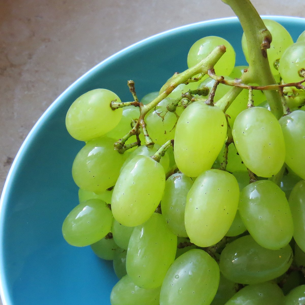 西新英格兰大学：研究显示葡萄的摄入对健康和寿命都有“显著”影响