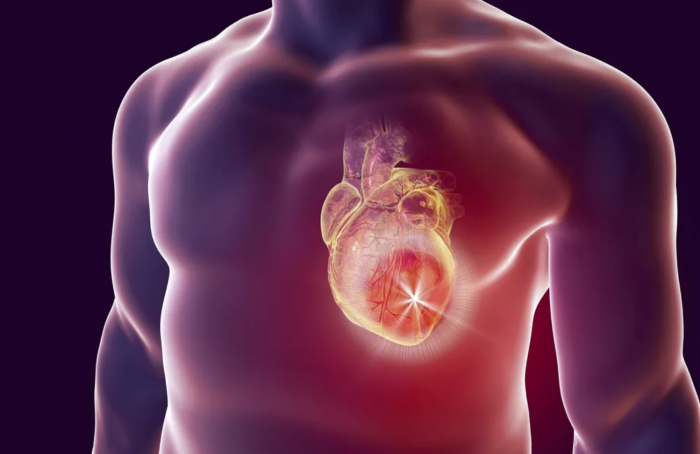 欧洲心脏病学会：研究发现吸烟对心脏损害比想象的更大