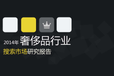 2014年-奢侈品行业搜索市场分析报告行业版-final-包装版_000001.png