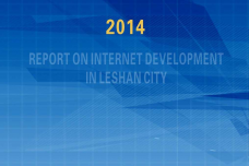 2014年乐山市互联网发展研究报告_000001.png