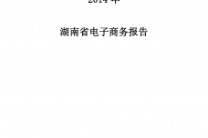 2014年湖南省电子商务报告_000001.png