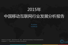 2015年中国移动互联网行业发展分析报告_000001.png