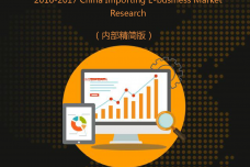2016-2017中国跨境电商市场研究报告_000001.png