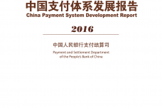 2016中国支付体系发展报告_000001.png