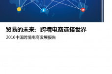 2016中国跨境电商发展报告_000001.png