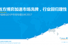 2017中国移动DSP市场专题分析_000001.png