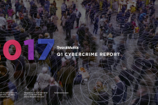 2017年第一季度网络犯罪报告_000001.png