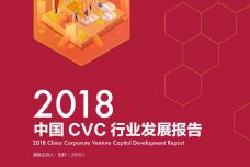 2018中国CVC行业发展报告_000001.jpg