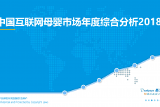 2018中国互联网母婴市场年度综合分析_000001.png