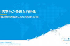 2018中国本地生活服务O2O行业分析_000001.png