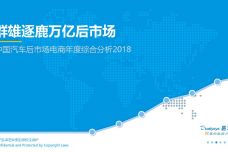 2018中国汽车后市场电商年度综合分析_000001.jpg