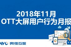 2018年11月OTT大屏用户行为月报_000001.jpg
