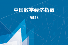 2018年6月中国数字经济指数报告_000001.png