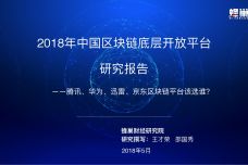 2018年中国区块链底层开放平台研究报告_000001.jpg