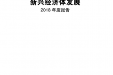 2018年度新兴经济体发展报告_000001.png