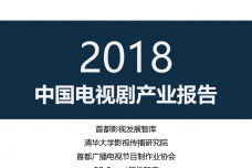 2018电视剧产业发展报告_000092.png