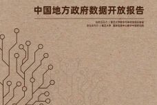 2019中国地方政府数据开放报告_000001.jpg