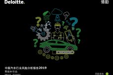 2019中国汽车行业风险分析报告（零部件市场）_000001-1.jpg