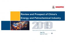 2019中国能源化工产业发展报告4_000001.jpg