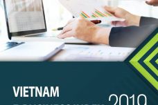 2019年越南电商指数（EBI）报告_000001.jpg