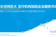 2020中国第三方支付企业服务市场数字化发展专题分析_000001.jpg