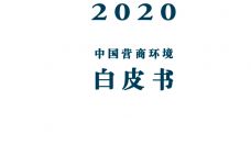 2020中国营商环境白皮书_000001.jpg