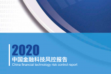 2020中国金融科技风控报告_000001.png