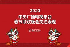2020中央广播电视总台春节联欢晚会关注表现报告_000002.jpg