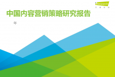 2020年中国内容营销策略研究报告_000001.png