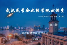 2020年武汉市企业现状调查-第二期_000001.png