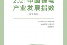 2021中国锂电产业发展指数_1.png