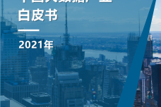 2021年中国大数据产业白皮书_1.png