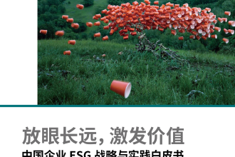 2022年中国企业ESG战略与实践白皮书_1.png