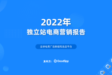 2022年独立站营销报告_00.png