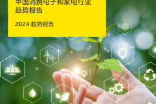 2024中国消费电子和家电行业趋势报告_1.png