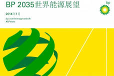 BP2035世界能源展望_000001.png