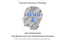 Big-Data-Executive-Survey-2018-Findings-1_000.jpg