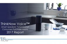 thinknow-voice-report-2017_000.jpg