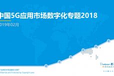 中国5G应用市场数字化专题2018_000001.jpg
