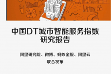 中国DT城市智能服务指数研究报告_000001.png