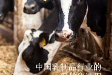 中国乳制品行业的现代化进程_000001.jpg