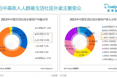 中国互联网餐饮外卖生活社区细分市场专题研究报告2015-01_000013.png