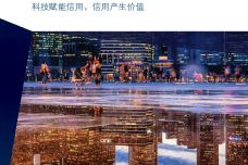 中国信用科技市场报告_000001.jpg
