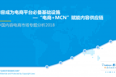 中国内容电商市场专题分析2018_000001.png