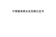 中国独角兽企业发展白皮书_000001.jpg