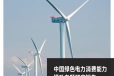 中国绿色电力消费能力提升专题研究报告_000001.jpg
