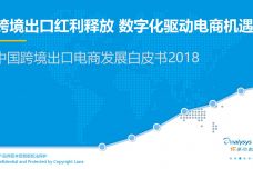 中国跨境出口电商发展白皮书2018_000001.jpg