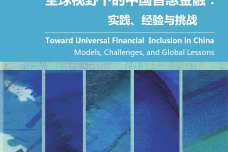 全球视野下的中国普惠金融：实践、经验与挑战.pdf_000001.png