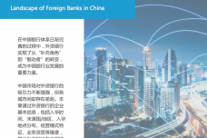 外资银行在华发展研究报告（上篇）_page_26.png