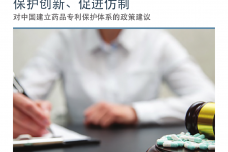 对中国建立药品专利保护体系的政策建议_000001.png